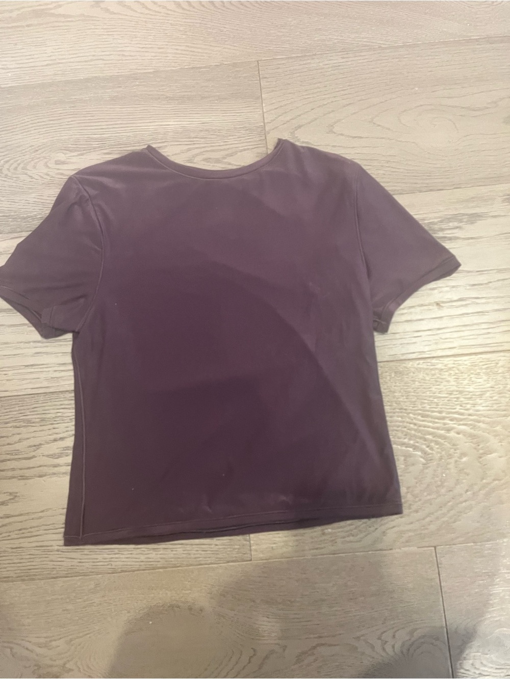 aerie Short Sleeve Crew Tee in Plum